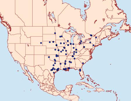 Distribution Data for Sparganothis pulcherrimana