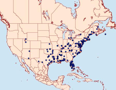 Distribution Data for Sparganothis distincta