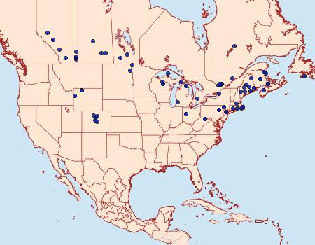 Distribution Data for Sparganothis boweri