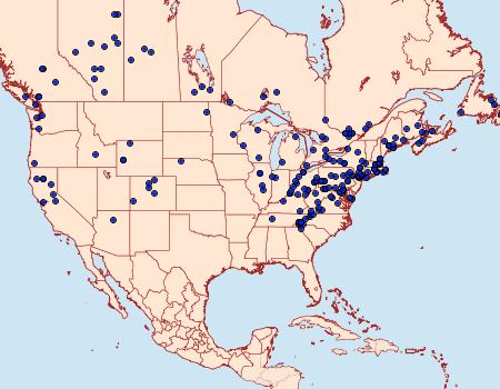 Distribution Data for Sparganothis xanthoides