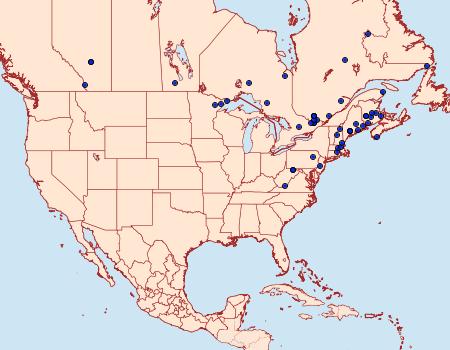 Distribution Data for Sparganothis violaceana