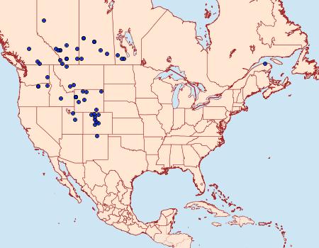 Distribution Data for Sparganothis vocaridorsana