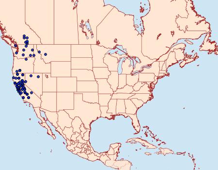 Distribution Data for Sparganothis tunicana