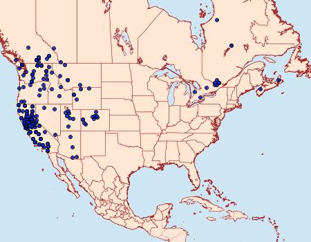 Distribution Data for Sparganothis senecionana