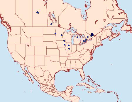 Distribution Data for Sparganothis flavibasana