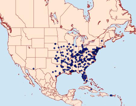 Distribution Data for Acrolophus plumifrontella