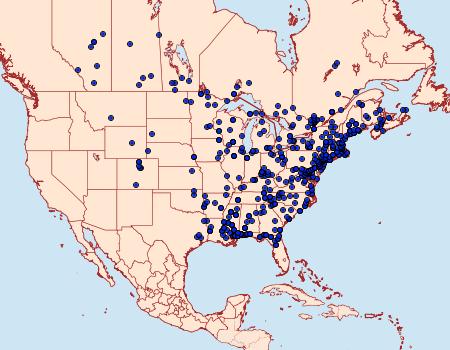 Distribution Data for Cenopis reticulatana