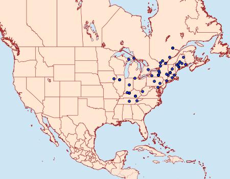 Distribution Data for Cenopis mesospila