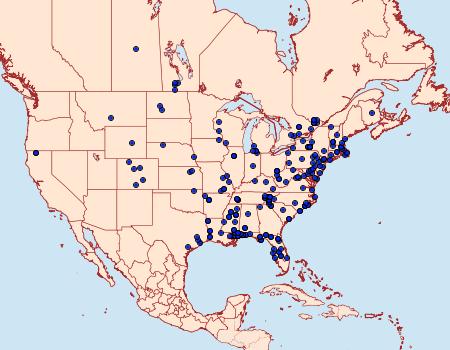 Distribution Data for Cenopis directana