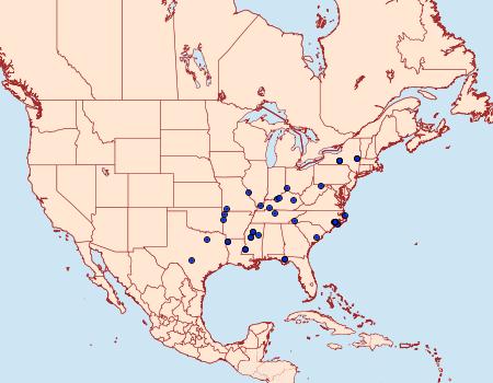 Distribution Data for Cenopis chambersana