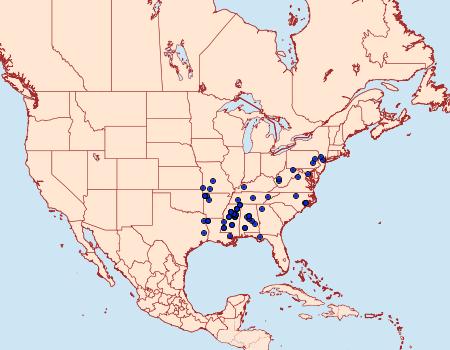 Distribution Data for Cenopis saracana