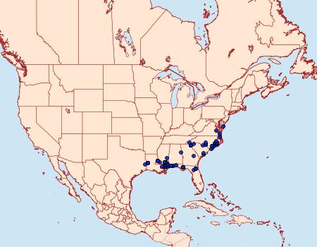 Distribution Data for Cenopis lamberti