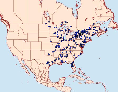 Distribution Data for Cenopis pettitana