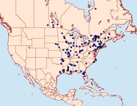 Distribution Data for Cenopis niveana