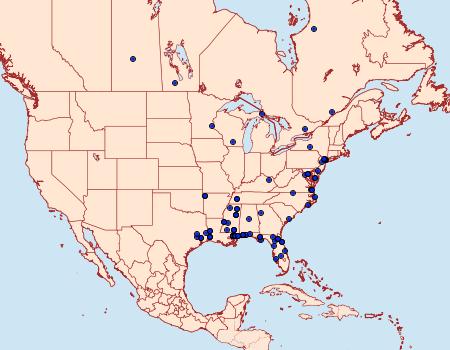 Distribution Data for Cenopis cana