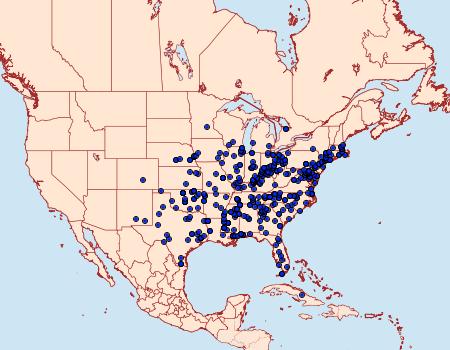 Distribution Data for Acrolophus popeanella