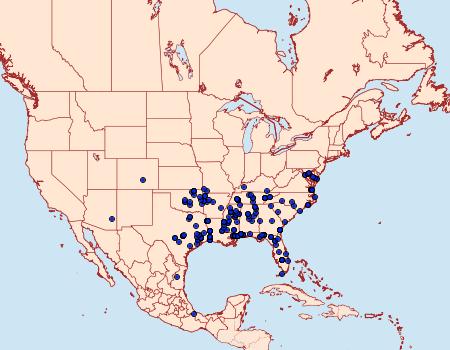 Distribution Data for Sparganothoides lentiginosana