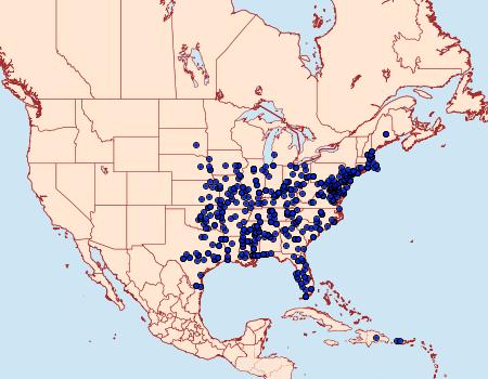 Distribution Data for Platynota flavedana