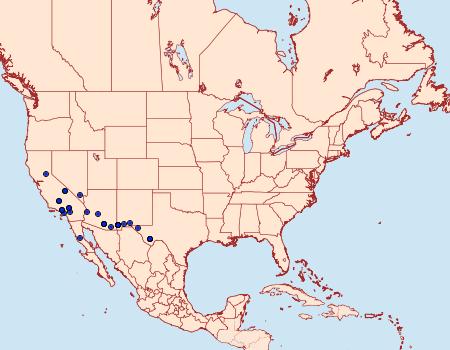 Distribution Data for Platynota larreana