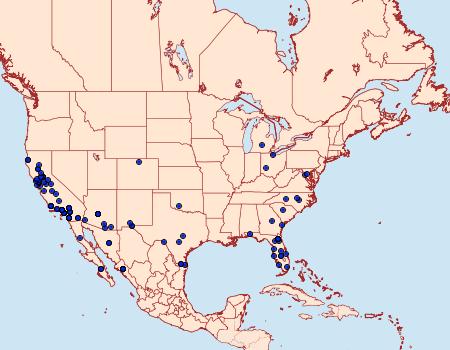 Distribution Data for Platynota stultana