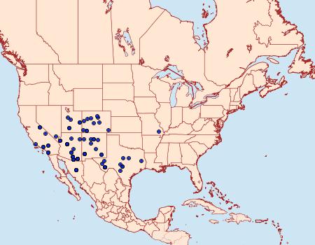 Distribution Data for Platynota labiosana