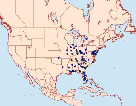 Distribution Data for Acrolophus propinqua