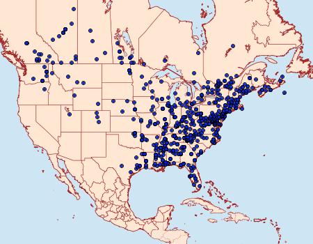 Distribution Data for Platynota idaeusalis