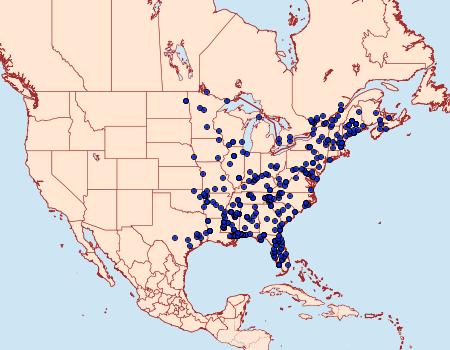 Distribution Data for Platynota exasperatana