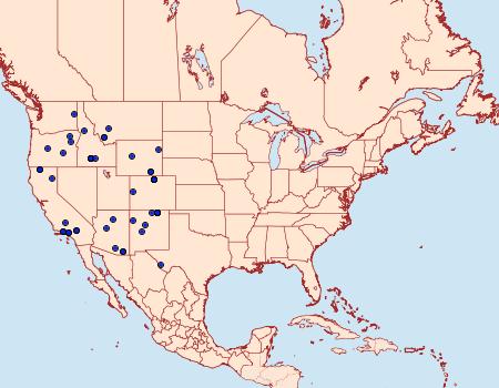 Distribution Data for Synnoma lynosyrana