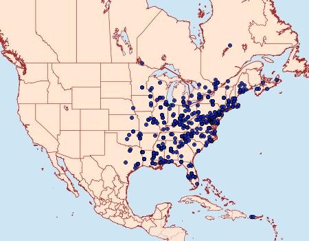 Distribution Data for Coelostathma discopunctana