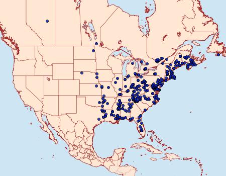 Distribution Data for Amorbia humerosana