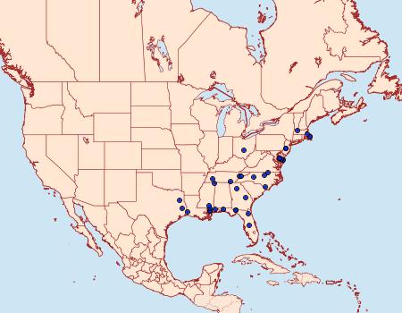 Distribution Data for Thaumatographa jonesi