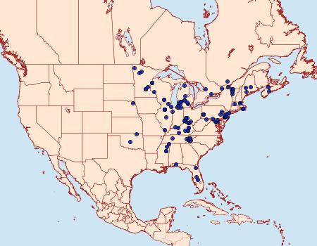 Distribution Data for Aethes angustana