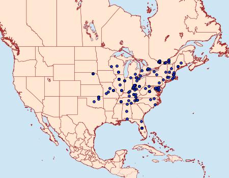 Distribution Data for Aethes argentilimitana