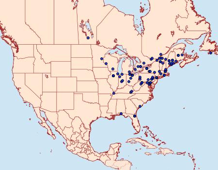 Distribution Data for Aethes biscana