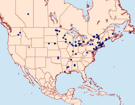 Distribution Data for Aethes sexdentata