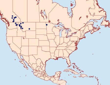 Distribution Data for Agapeta zoegana