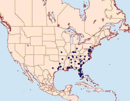 Distribution Data for Eugnosta sartana