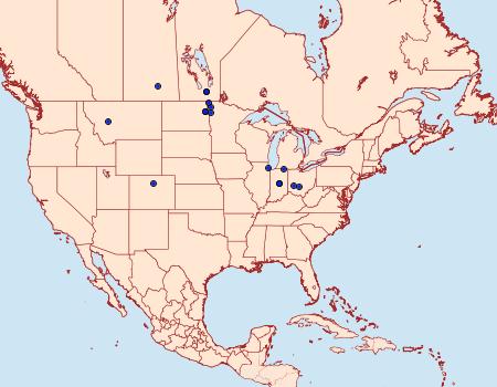 Distribution Data for Cochylichroa arthuri