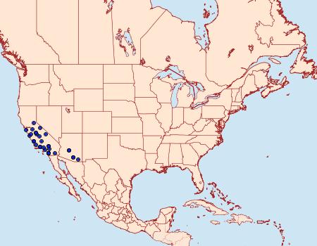 Distribution Data for Acrolophus pyramellus