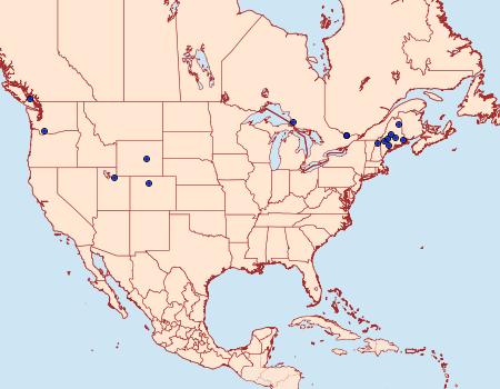 Distribution Data for Neocochylis dubitana