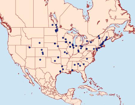 Distribution Data for Cochylichroa hospes