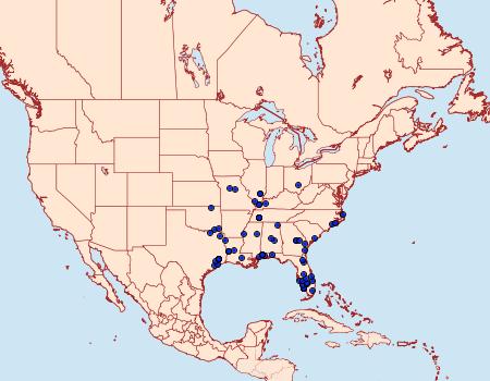 Distribution Data for Eugnosta erigeronana