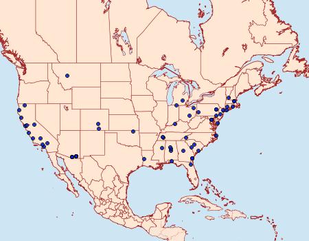 Distribution Data for Henricus edwardsiana