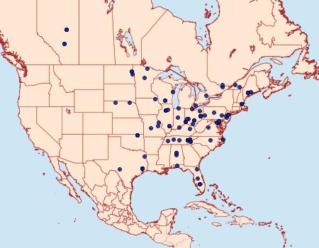 Distribution Data for Aethes angulatana