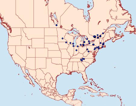 Distribution Data for Phalonidia straminoides