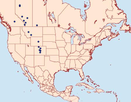 Distribution Data for Phtheochroa aureoalbida