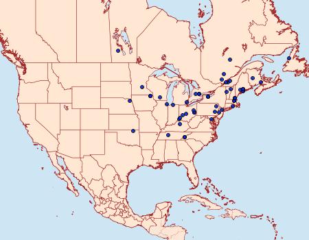 Distribution Data for Phtheochroa riscana