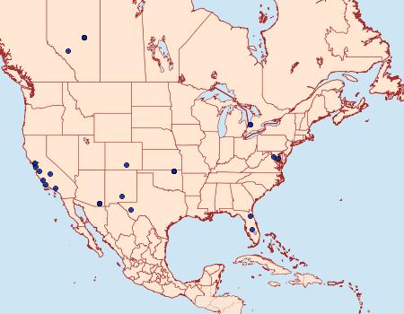 Distribution Data for Platphalonidia felix