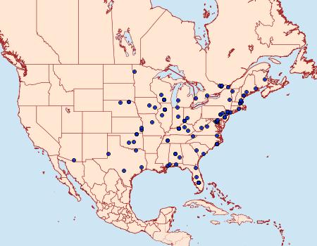 Distribution Data for Atroposia oenotherana